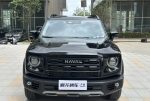 Haval Dargo‌ 2026 Model Year 1.5T DCT Border Collie Edition - 图片 2